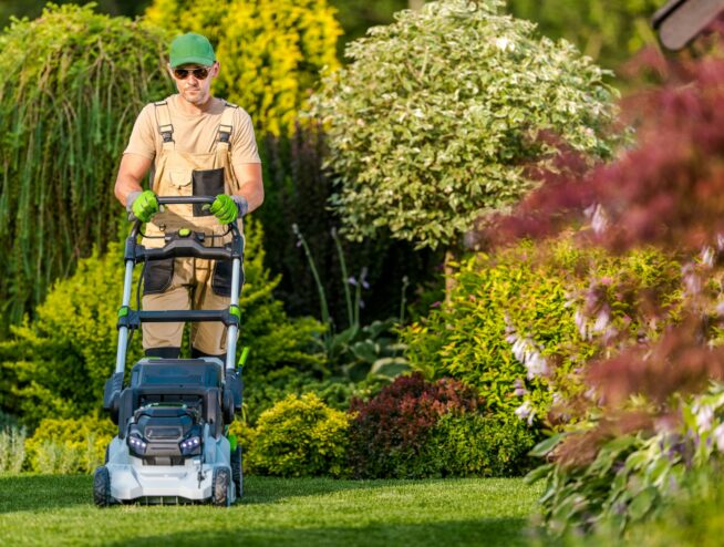 Lawn Mowing in Boise