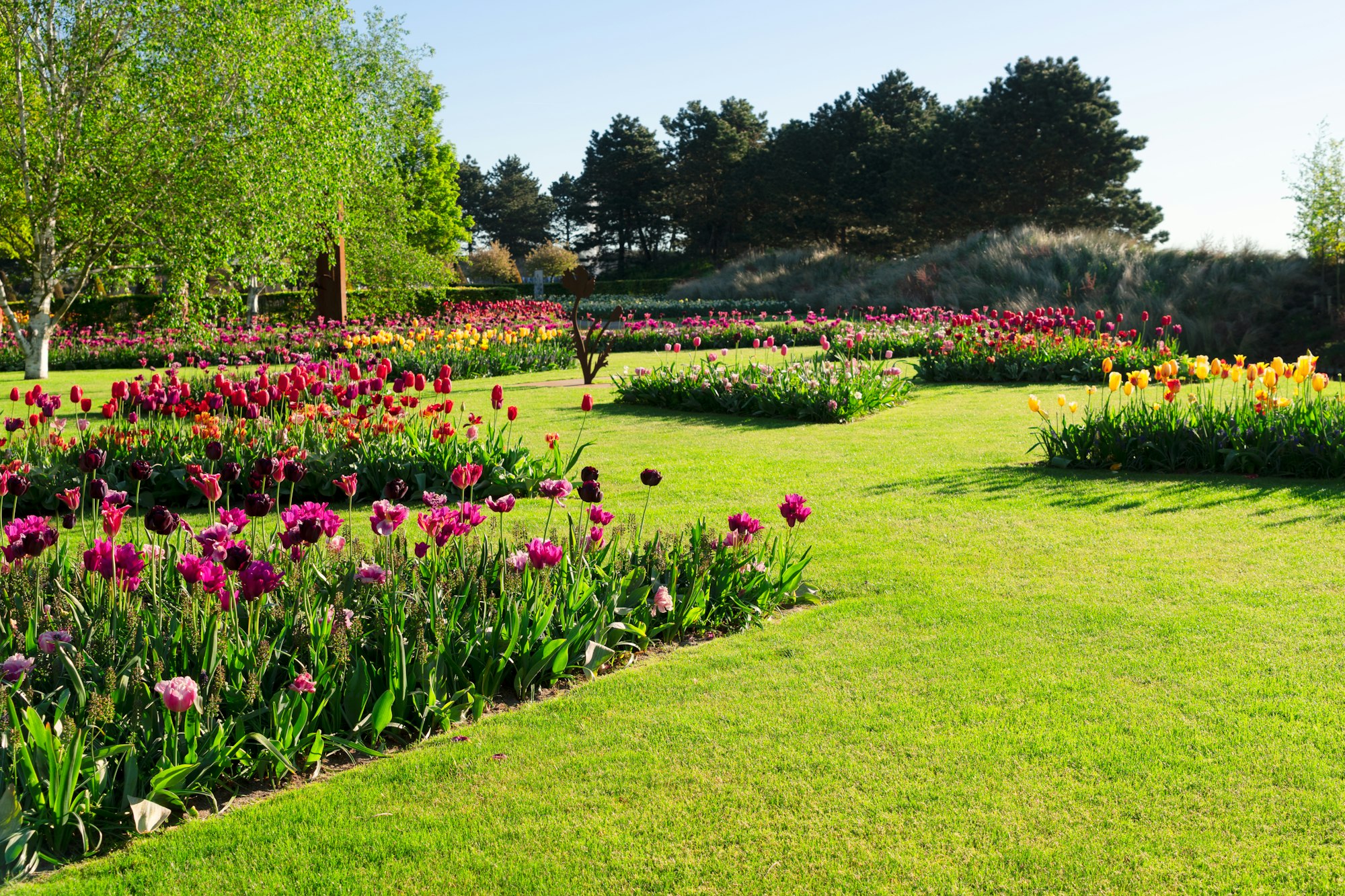 fresh lawn with flowers