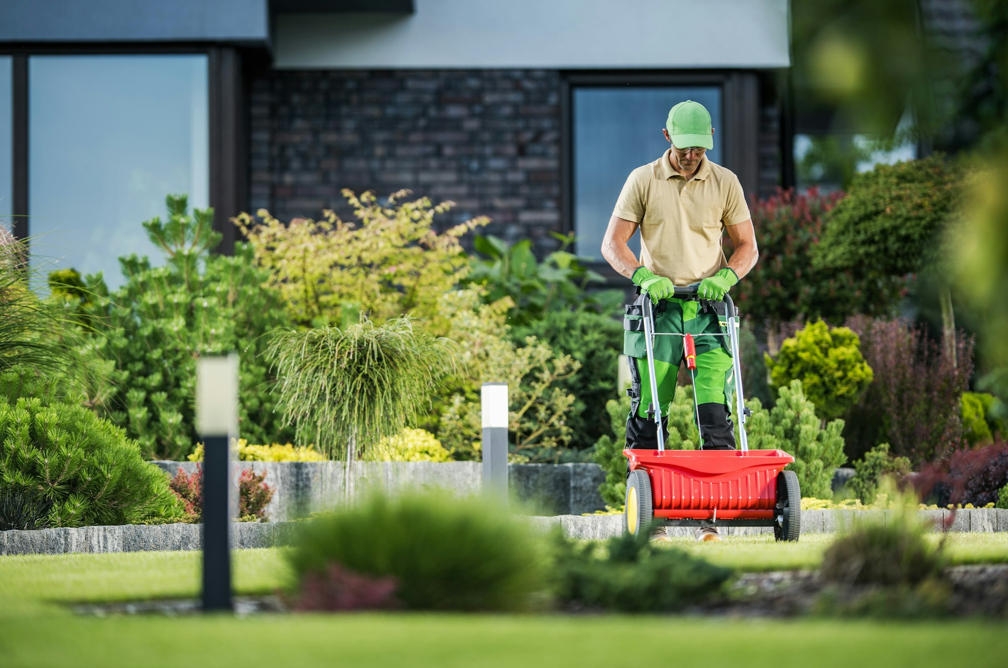 Grass Fertilizing Using Push Spreader