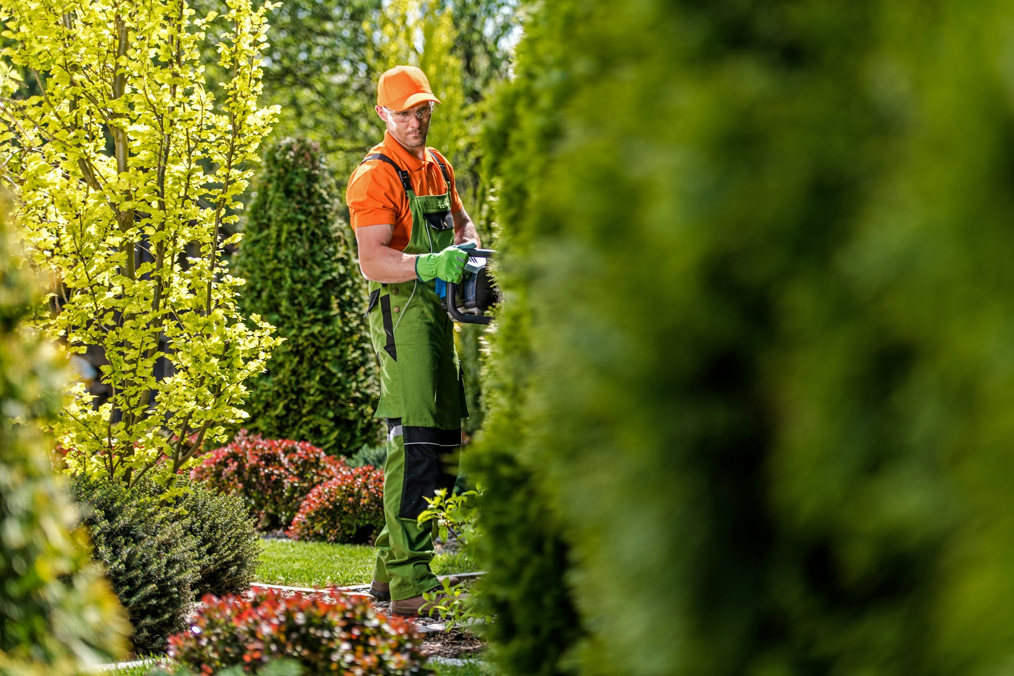 Hedge Trimming Work