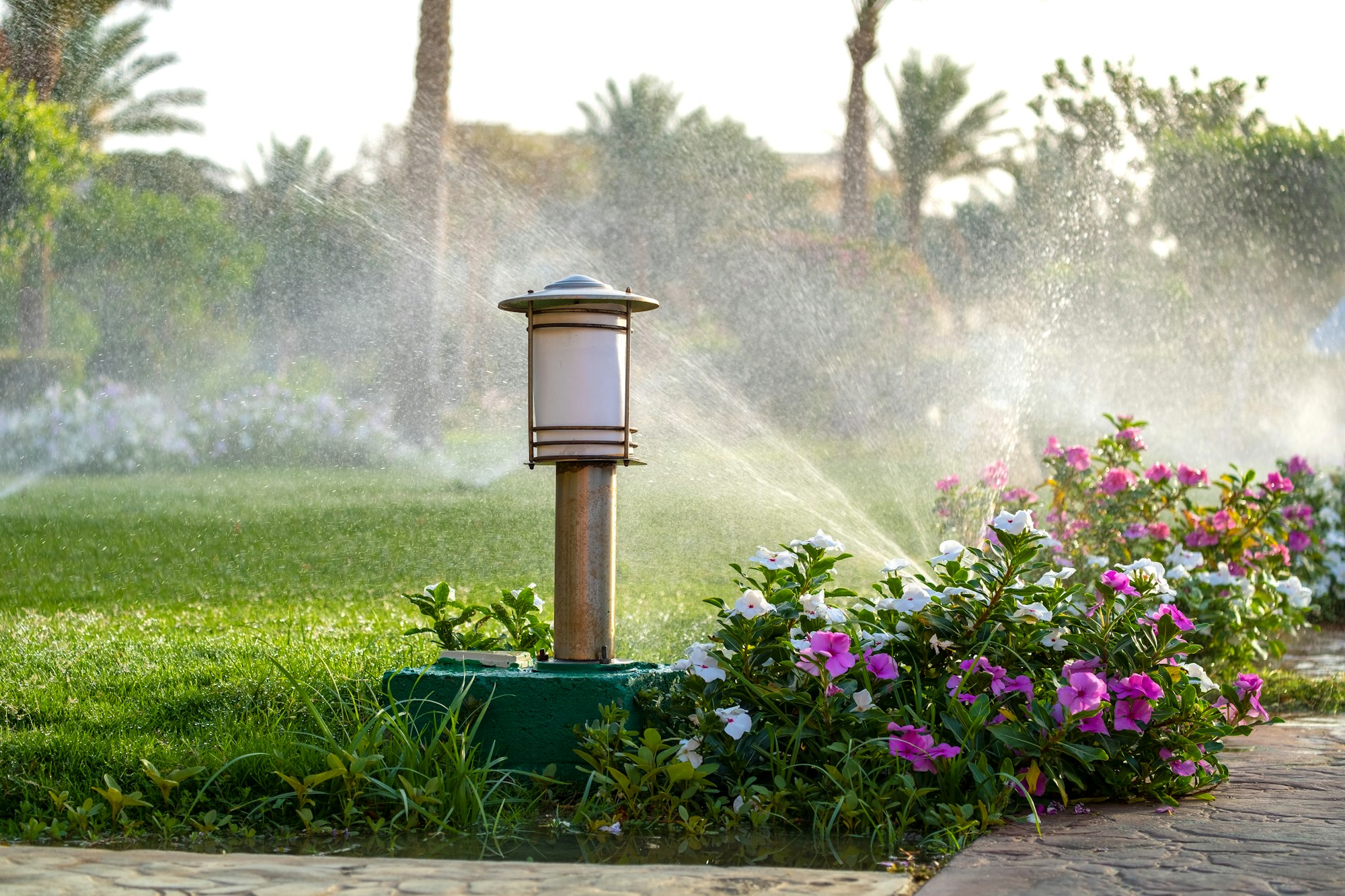 Plastic sprinkler irrigating flower bed on grass lawn with water in summer garden.