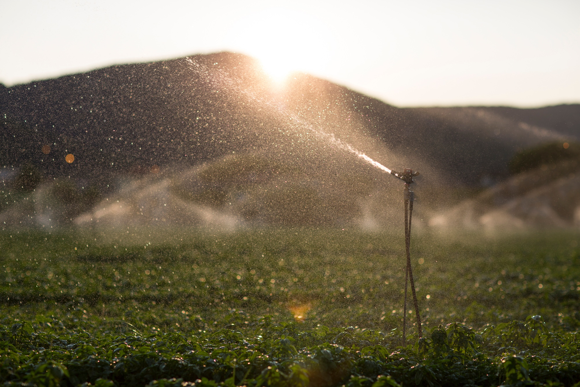 Boise Irrigation System