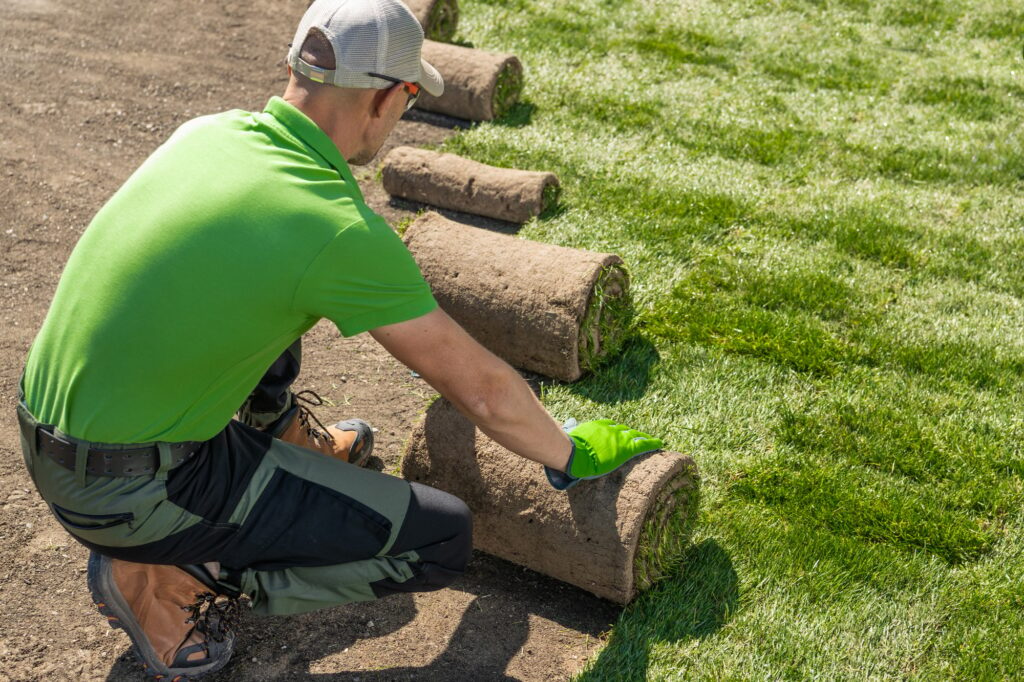 sod installation in Boise Idaho