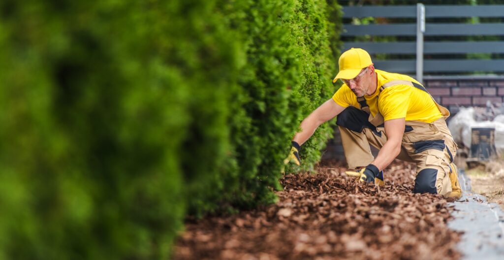 Professional Boise Mulch Application